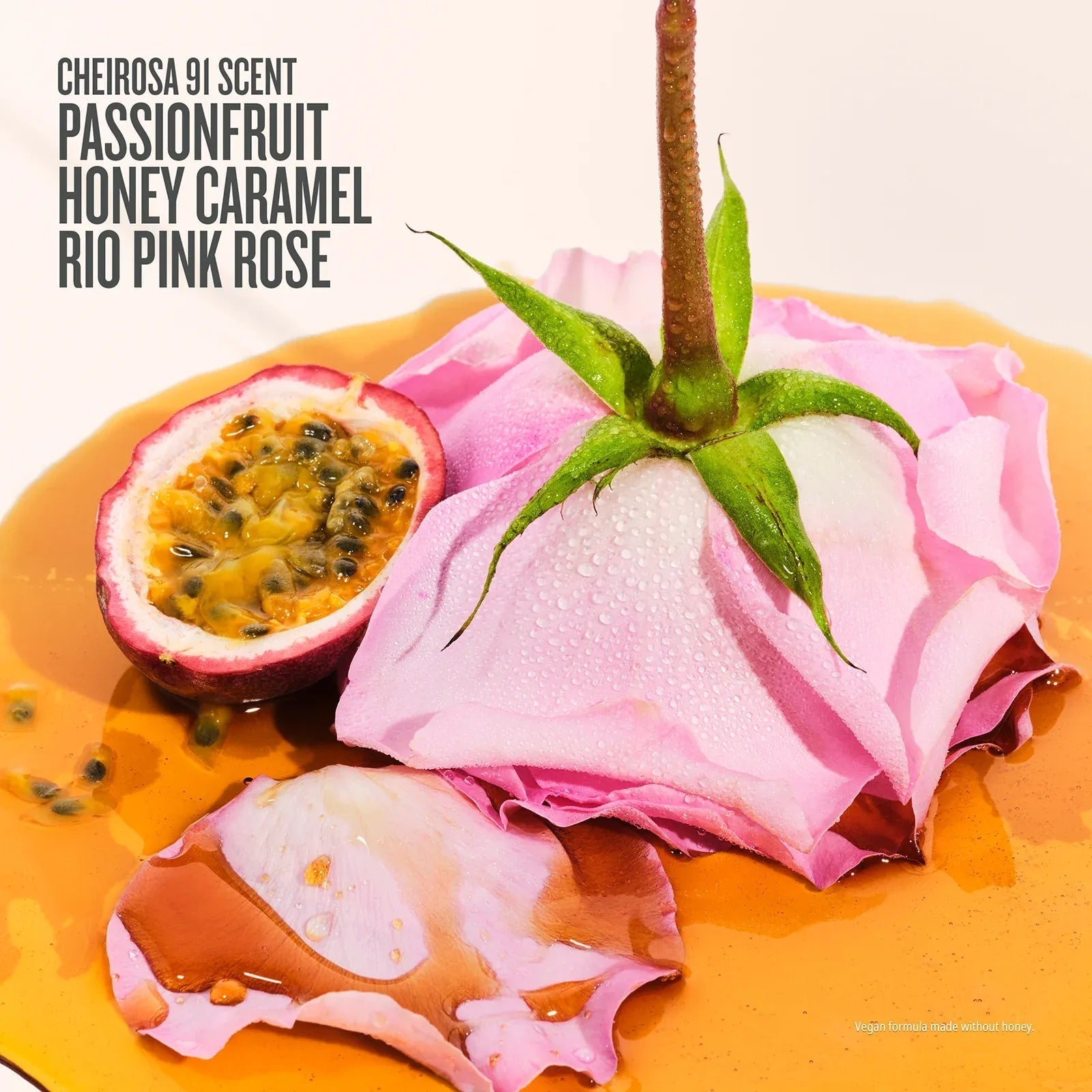 Rosa CharmosaTM Duo | Online Exclusive