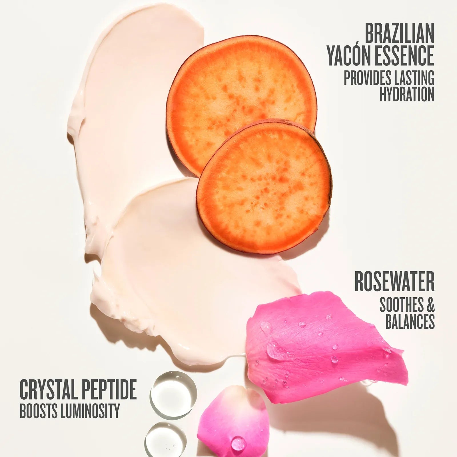 Rosa CharmosaTM Dewy Cream