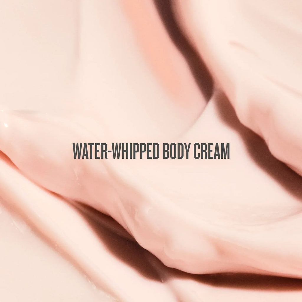 Rosa CharmosaTM Dewy Cream