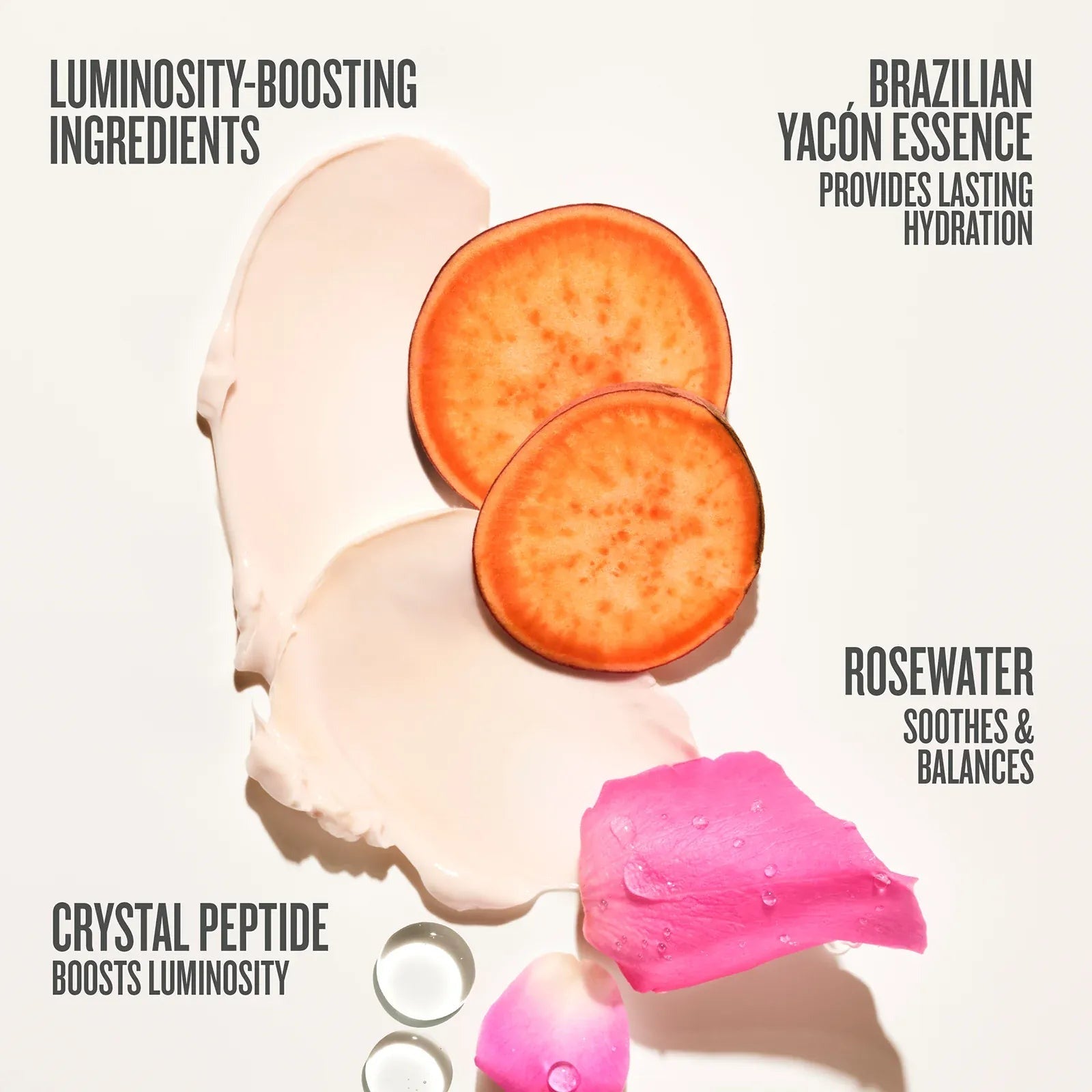 Rosa CharmosaTM Duo | Online Exclusive